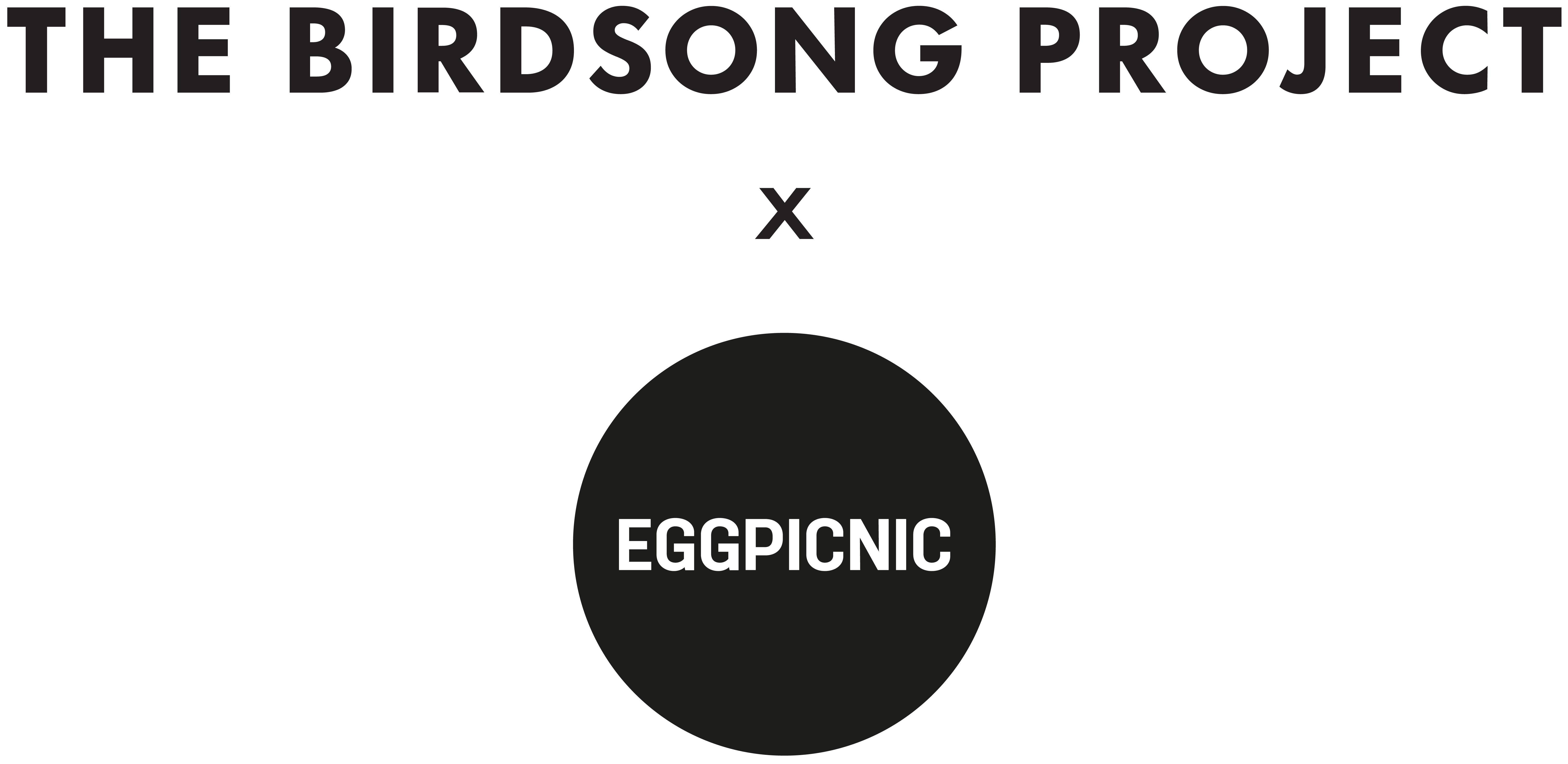 Eggpicnic x The Birdsong Project